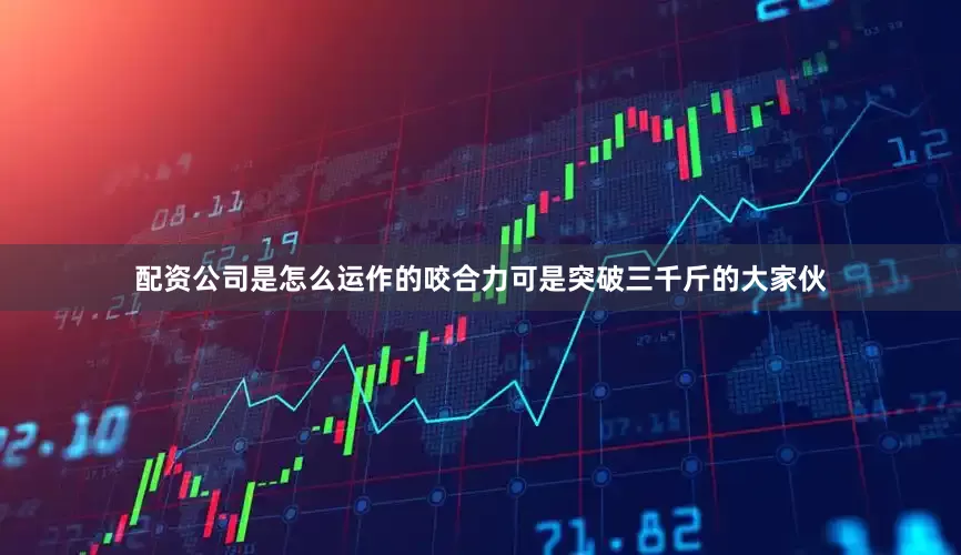 配资公司是怎么运作的咬合力可是突破三千斤的大家伙