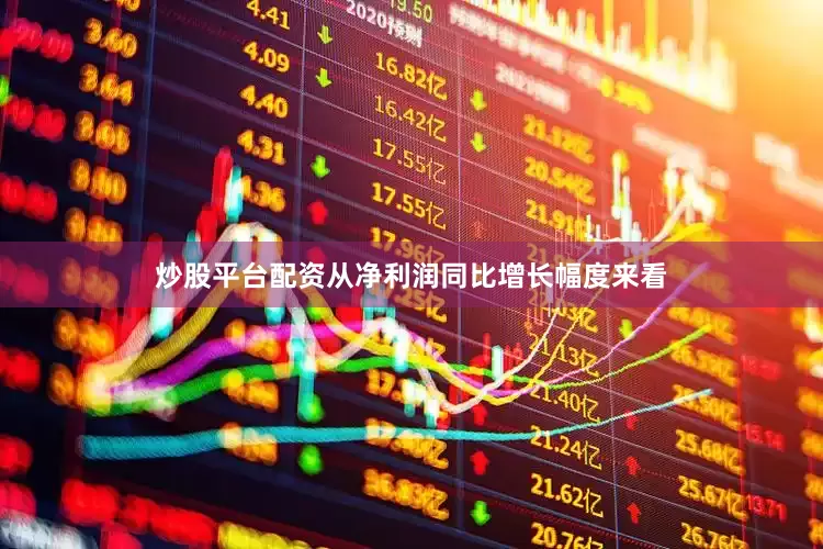 炒股平台配资从净利润同比增长幅度来看