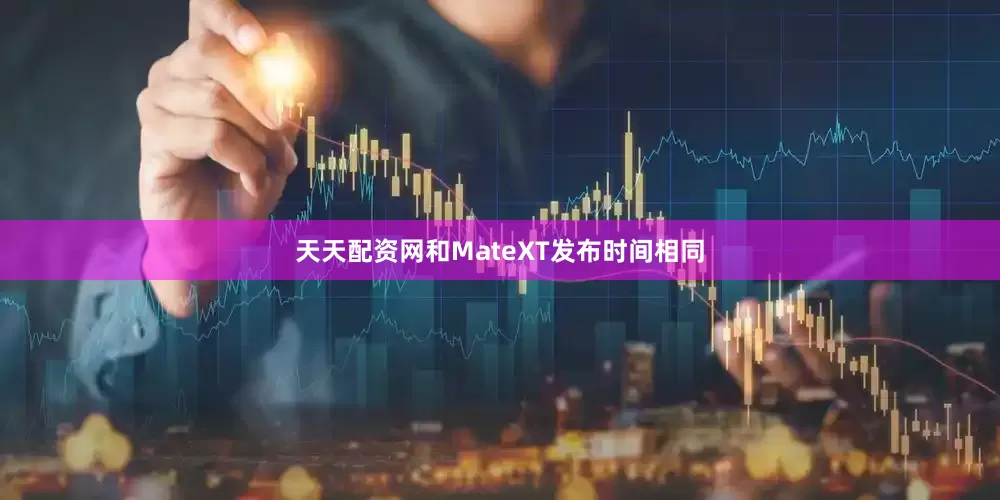 天天配资网和MateXT发布时间相同